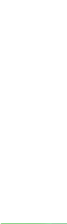 B1